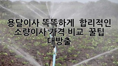 용달이사 똑똑하게! 📦 합리적인 소량이사 가격 비교 & 꿀팁 대방출! 🍯